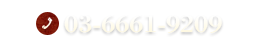 03-6661-9209